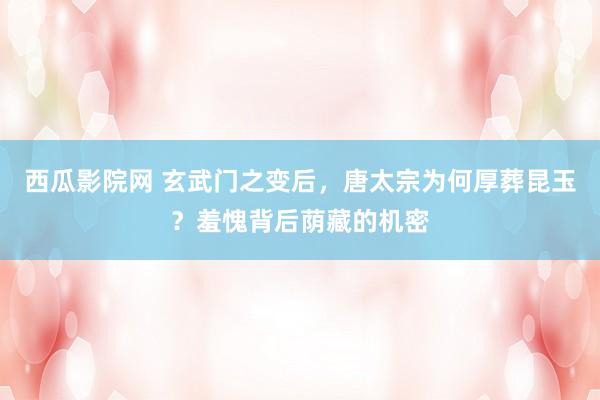 西瓜影院网 玄武门之变后，唐太宗为何厚葬昆玉？羞愧背后荫藏的机密