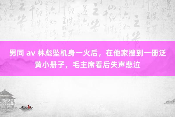 男同 av 林彪坠机身一火后，在他家搜到一册泛黄小册子，毛主席看后失声悲泣
