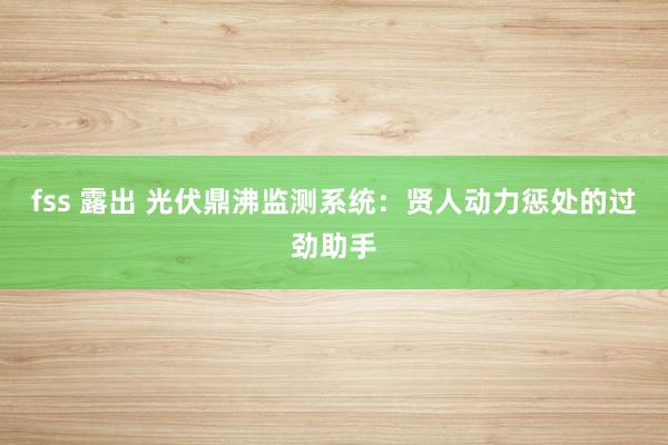 fss 露出 光伏鼎沸监测系统：贤人动力惩处的过劲助手