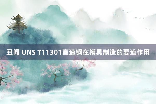丑闻 UNS T11301高速钢在模具制造的要道作用