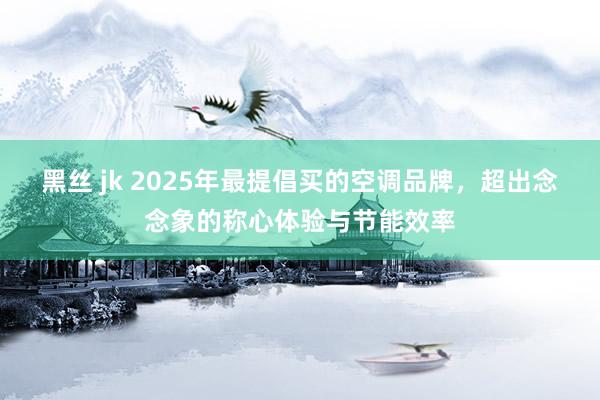 黑丝 jk 2025年最提倡买的空调品牌，超出念念象的称心体验与节能效率