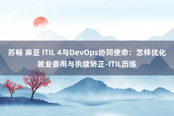 苏畅 麻豆 ITIL 4与DevOps协同使命：怎样优化就业委用与执续矫正-ITIL历练