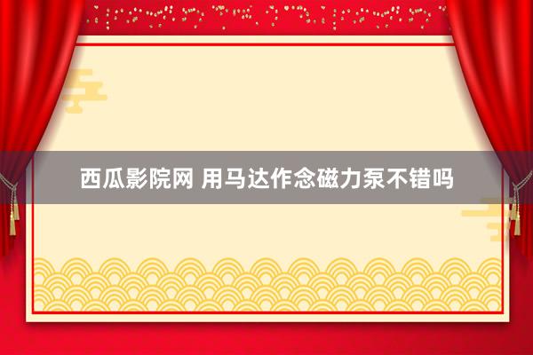 西瓜影院网 用马达作念磁力泵不错吗