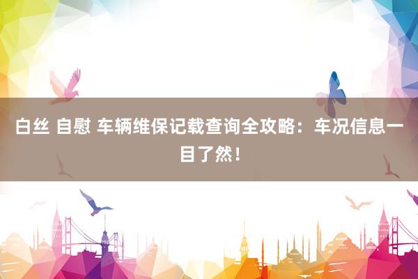 白丝 自慰 车辆维保记载查询全攻略：车况信息一目了然！