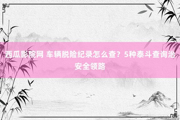 西瓜影院网 车辆脱险纪录怎么查？5种泰斗查询治安全领路