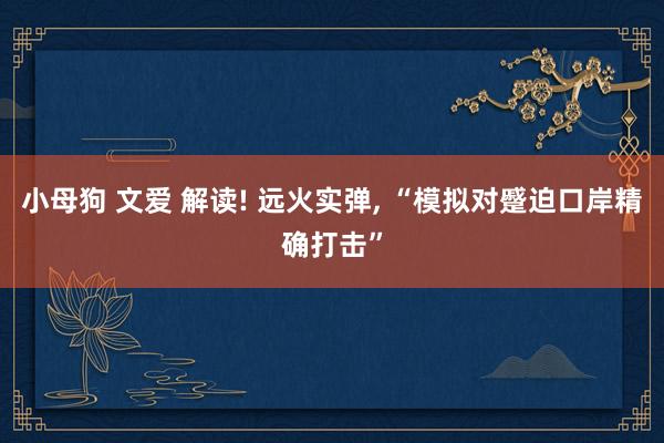 小母狗 文爱 解读! 远火实弹, “模拟对蹙迫口岸精确打击”