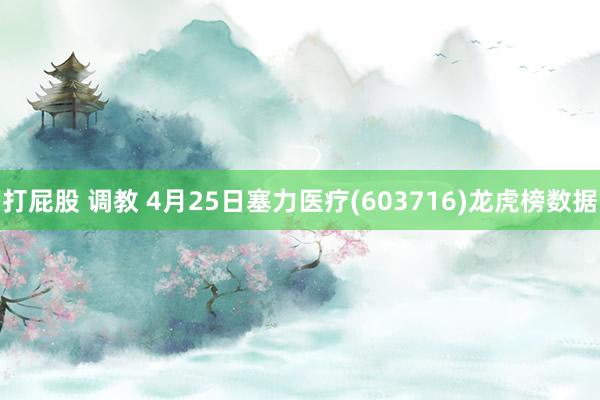 打屁股 调教 4月25日塞力医疗(603716)龙虎榜数据