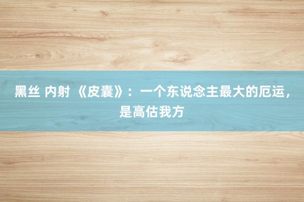 黑丝 内射 《皮囊》：一个东说念主最大的厄运，是高估我方