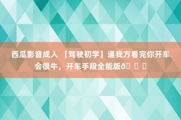 西瓜影音成人 【驾驶初学】逼我方看完你开车会很牛，开车手段全能版🙉