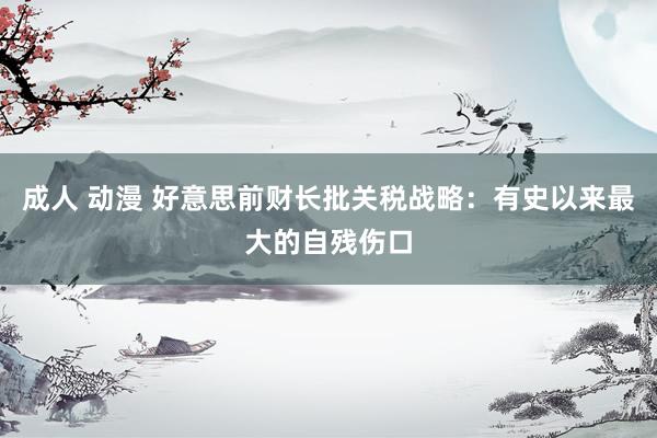成人 动漫 好意思前财长批关税战略：有史以来最大的自残伤口