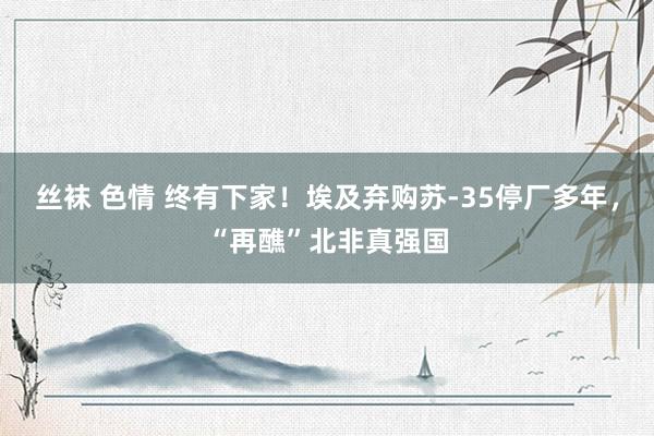 丝袜 色情 终有下家！埃及弃购苏-35停厂多年，“再醮”北非真强国